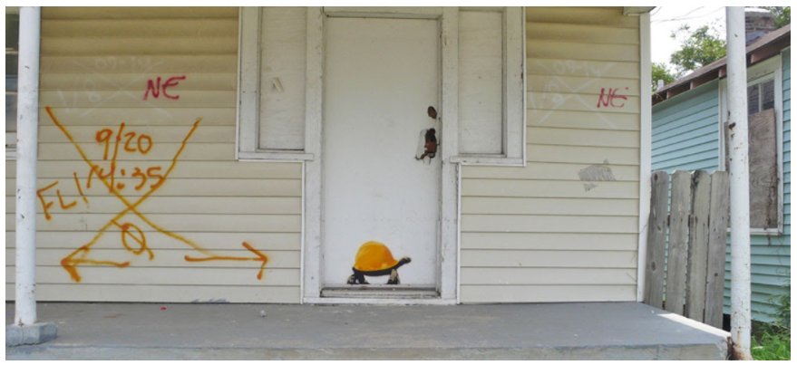 New Orleans Rats — image 4